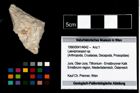 Foto (Objekt + Etikett) von Laeviprosopon sp.  (NHMW-GEO-1990-0041-4642)